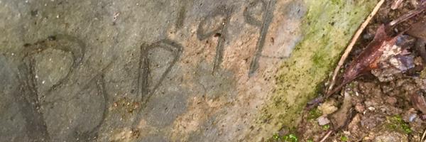 PJDredge Profile Banner