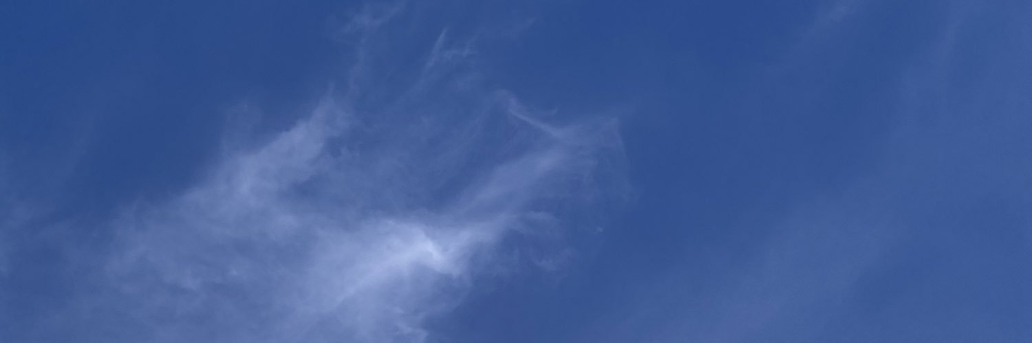 leo banner