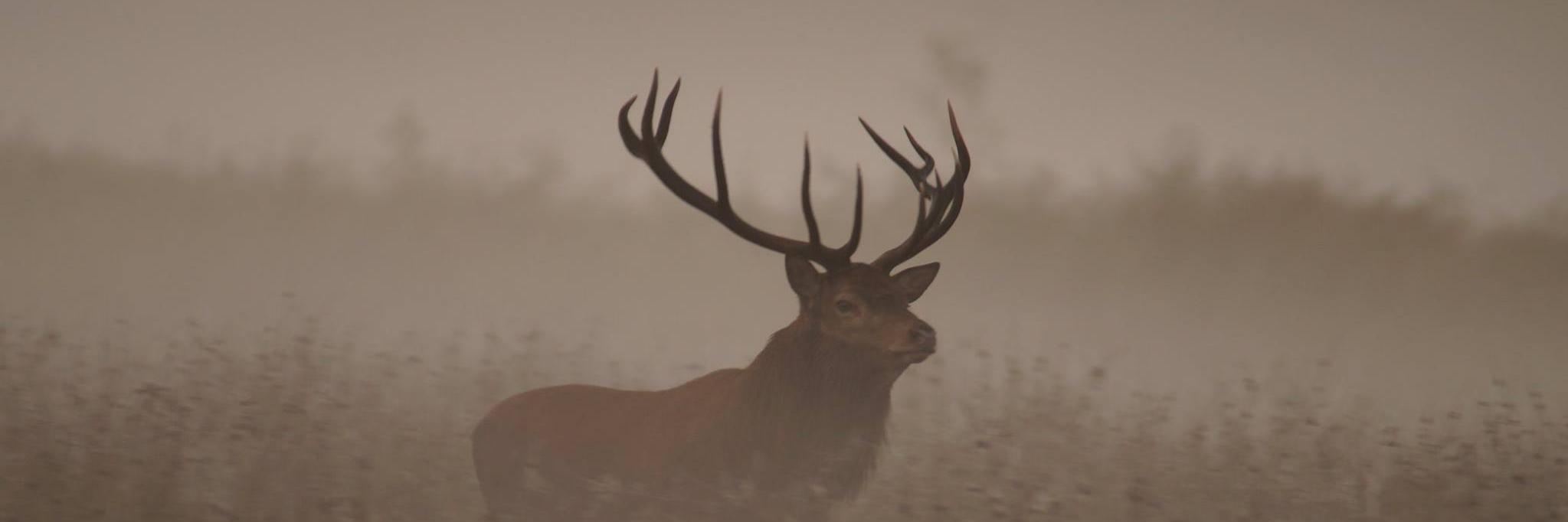 DrAdamLewis's profile banner image