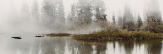 AlyseCreatives's profile banner image