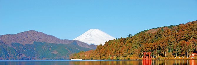 怪獣太郎 banner