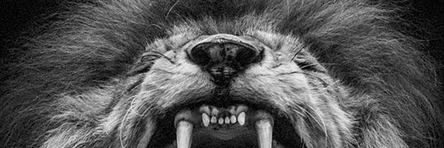 JrQuionez's profile banner image