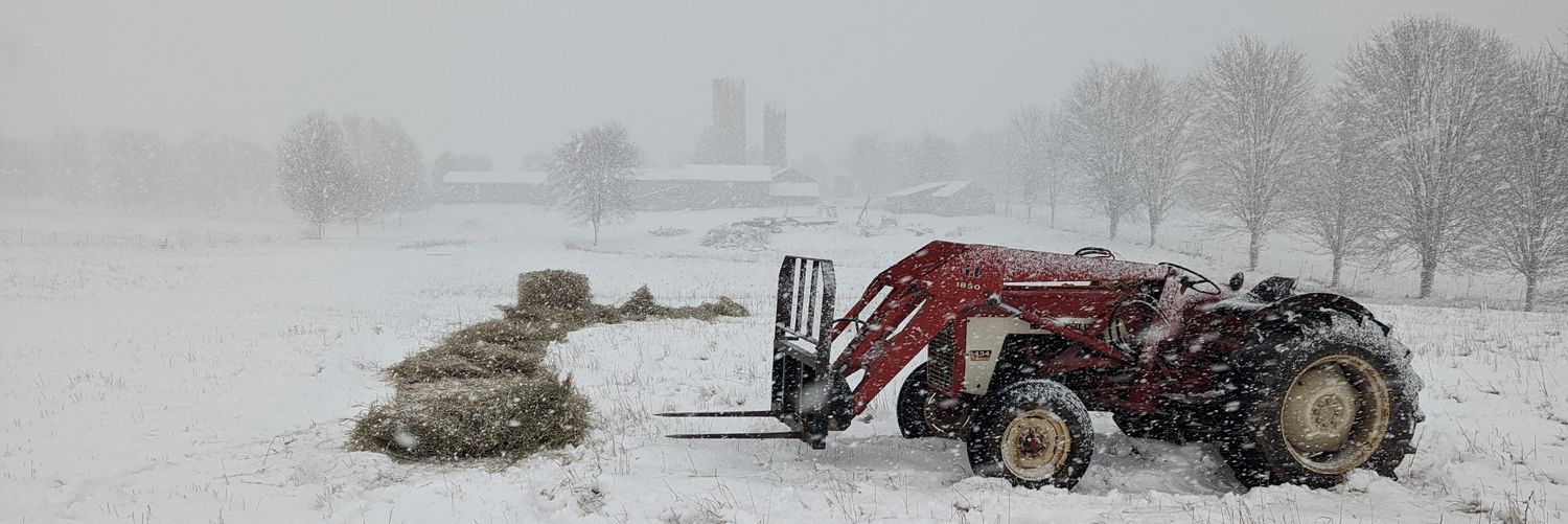 Brad Thirlwall banner