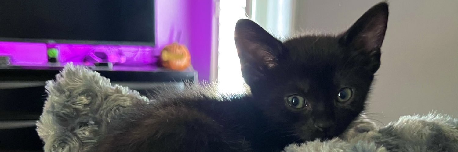 bryttvny's profile banner image