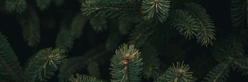 AnjaZinke's profile banner image