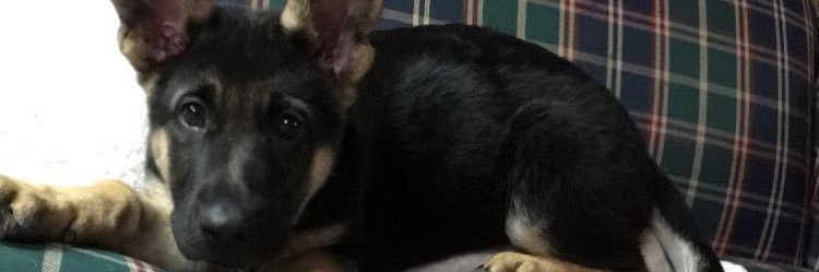 willbennett11's profile banner image