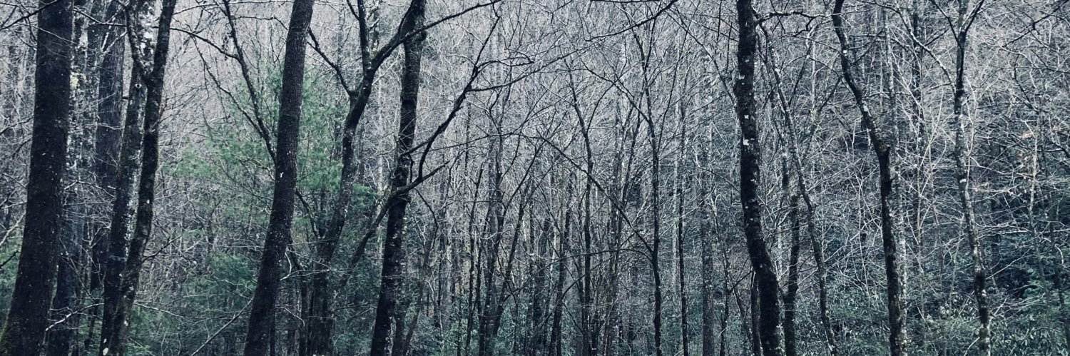 binley_'s profile banner image