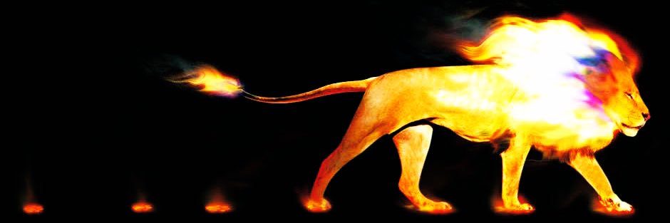 theFis4's profile banner image