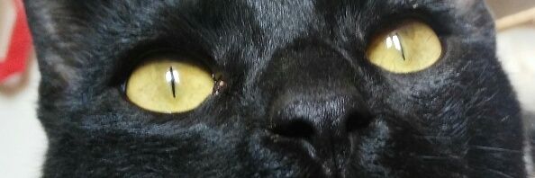 babyfaceVFG's profile banner image