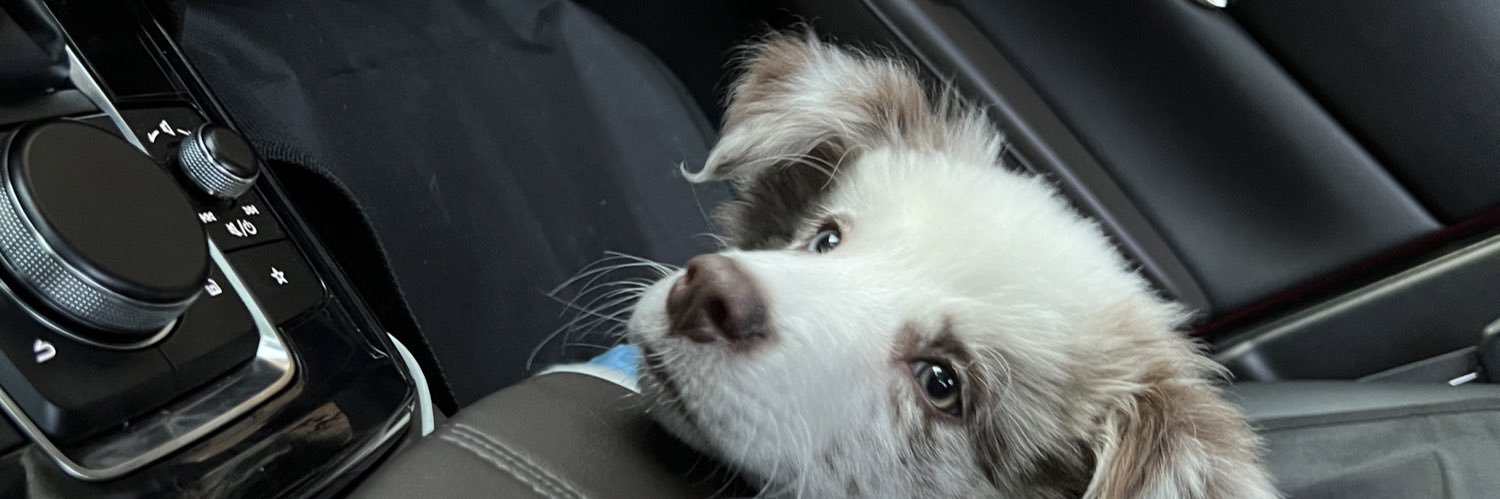 Mario Javier López G banner