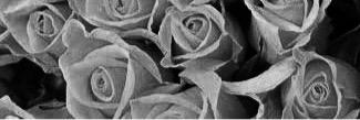 _______fMQ's profile banner image