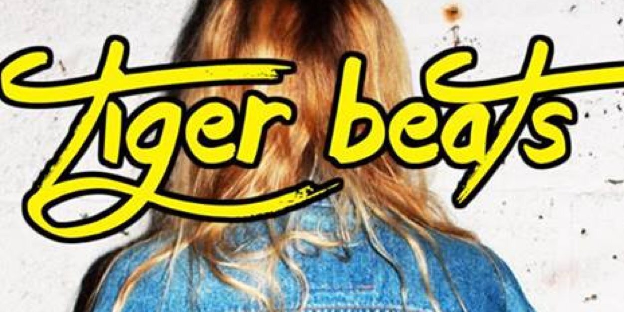 _TIGERBEATS_'s profile banner image