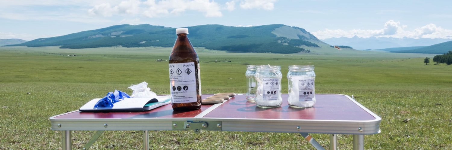 Charlotte Parent banner