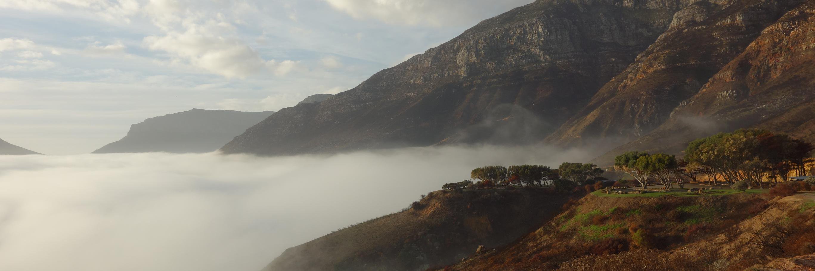 Michael Modon banner