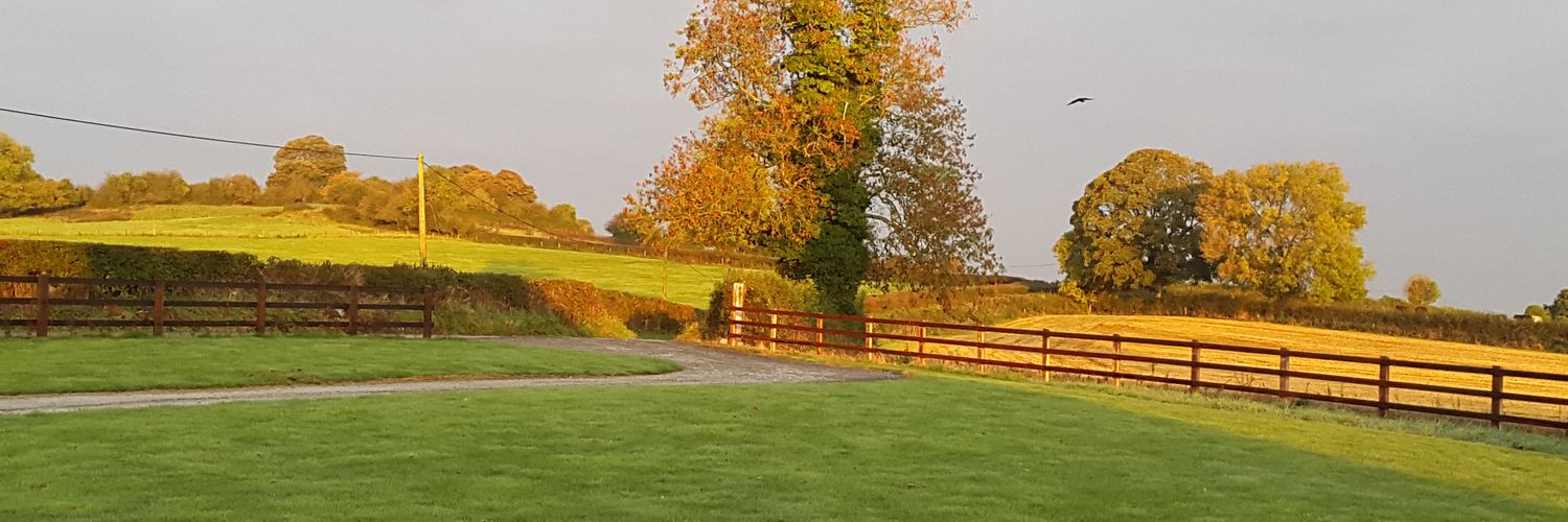 johnkealy's profile banner image