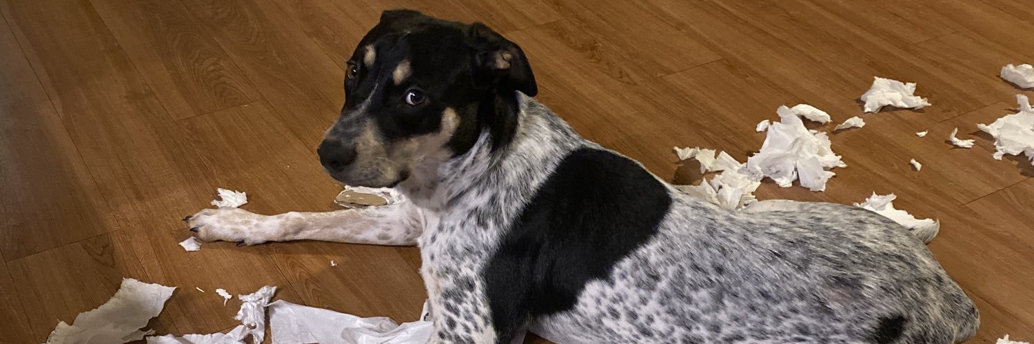 Tyger Lucas Jr banner