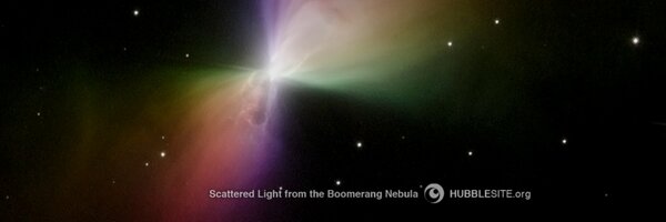 ntuckerpar Profile Banner