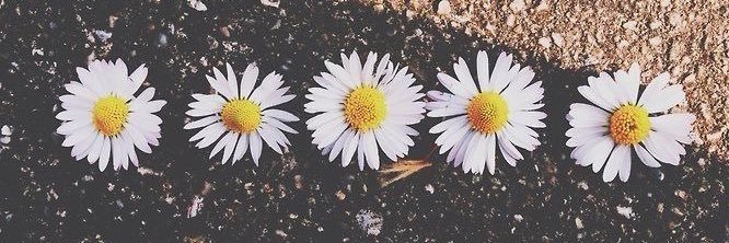 audgelapp's profile banner image