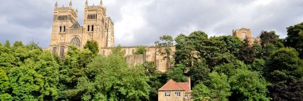 EdsonCamerotte's profile banner image