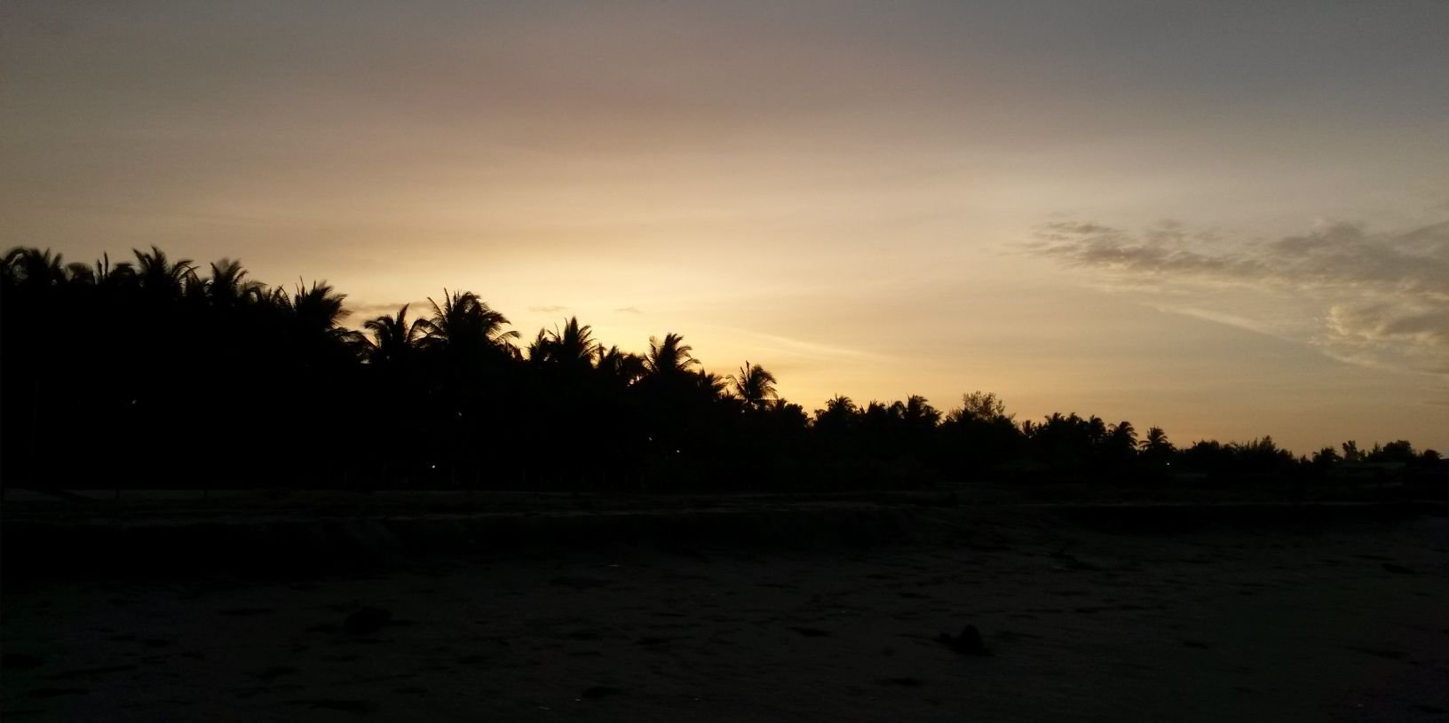AleMartinez0712's profile banner image
