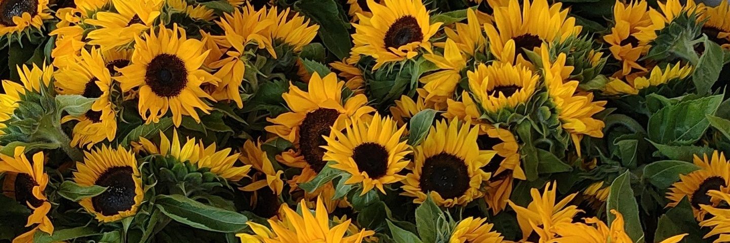 emmaaward's profile banner image