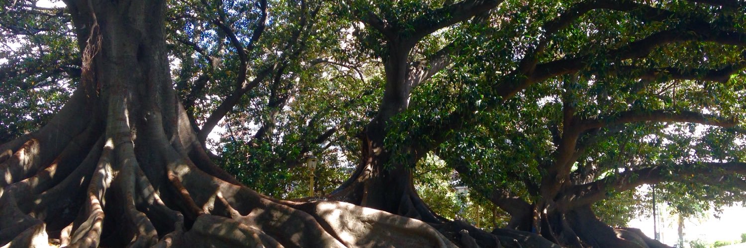 ankankankanka's profile banner image