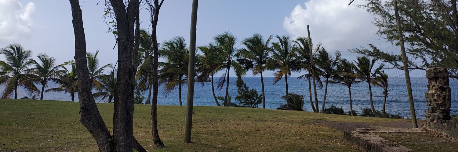 TropicalTyrant's profile banner image