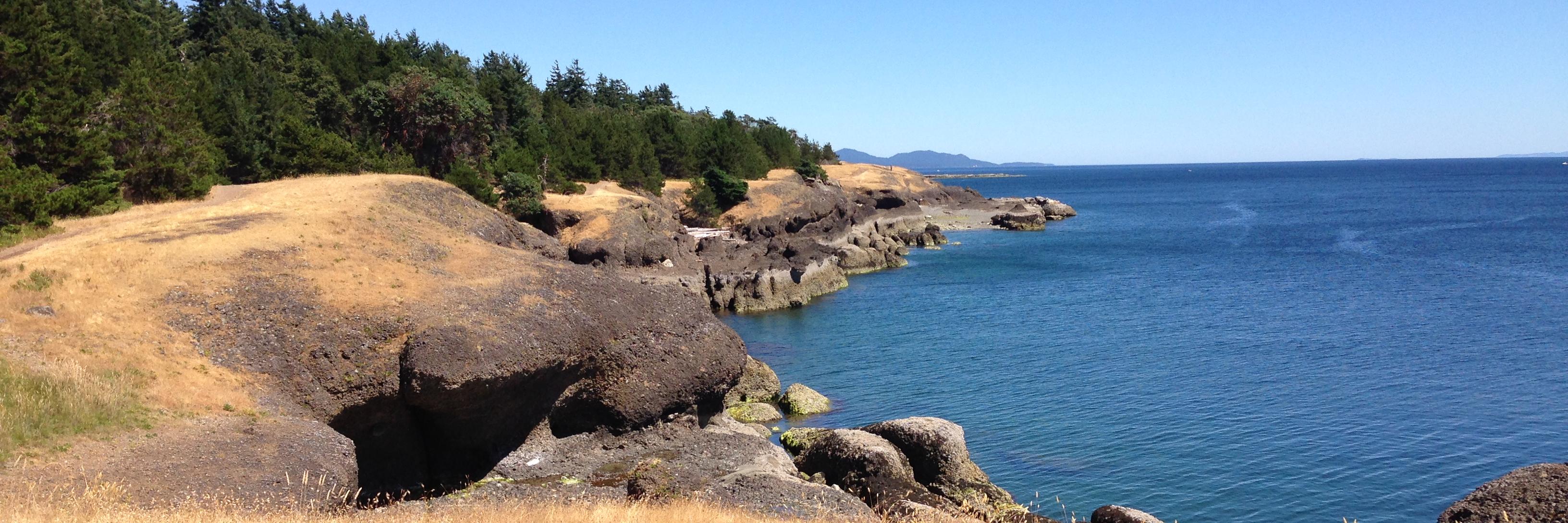 Katja B.-Dobie banner