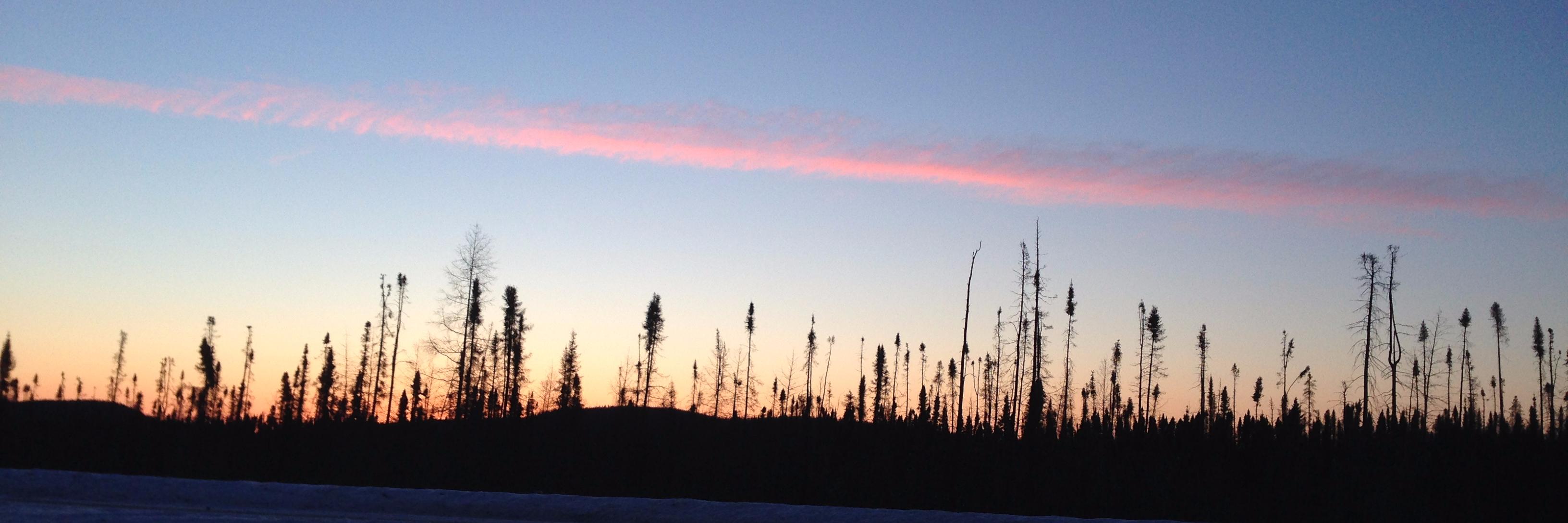 Stephanie McFeeters banner