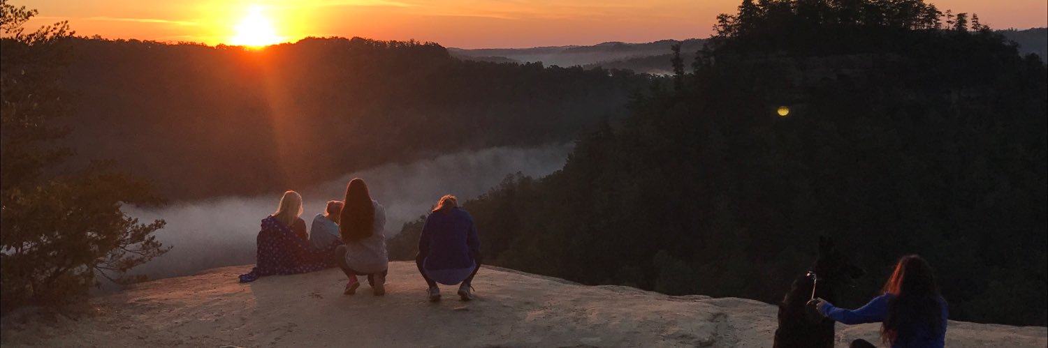 LilyJay21's profile banner image
