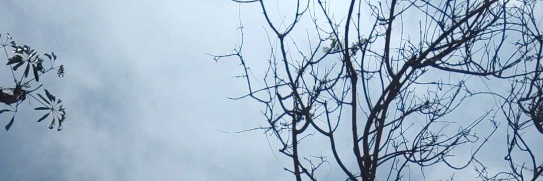 BlueAzzu's profile banner image