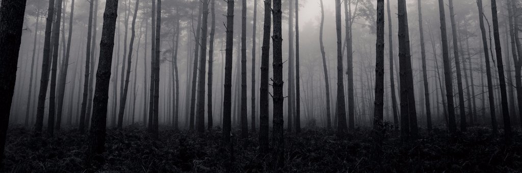 RaeVan87's profile banner image