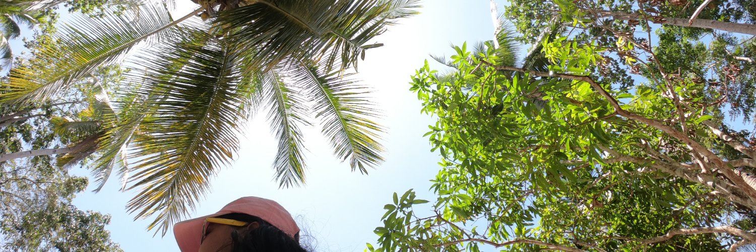 noffee_y's profile banner image