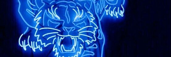 Risinglynx (Ø,G) banner