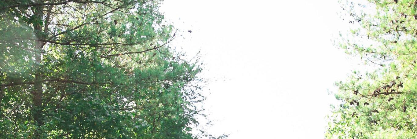 morganlwest's profile banner image