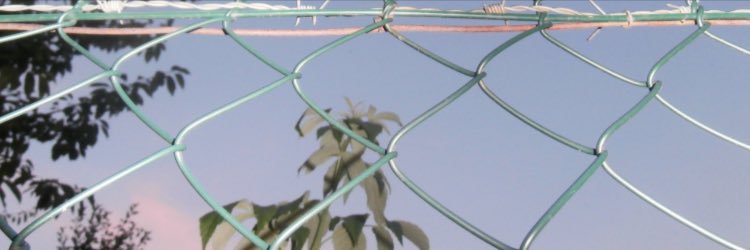 shootzoe's profile banner image