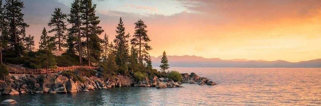 Jill_Robson's profile banner image