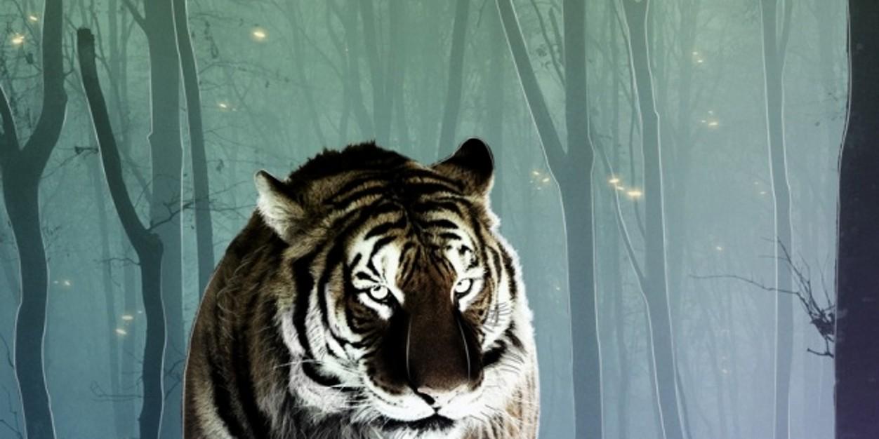 salvox79's profile banner image