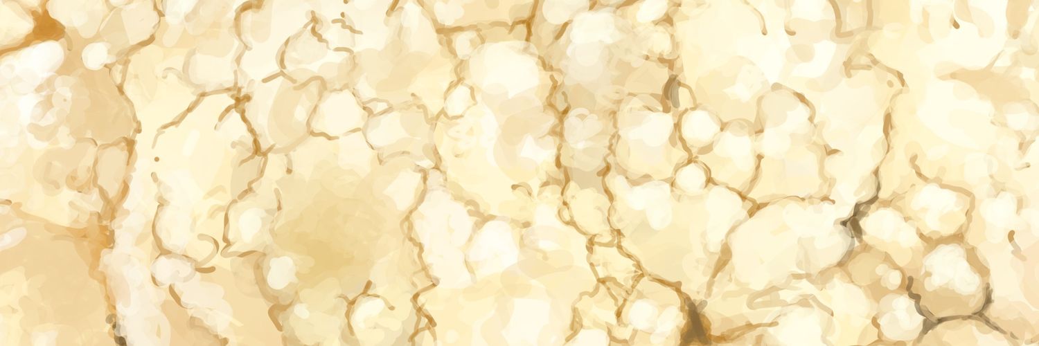 PotatoSol's profile banner image