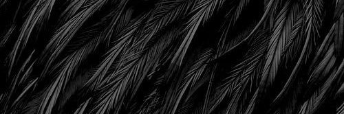 torrieleigh_'s profile banner image