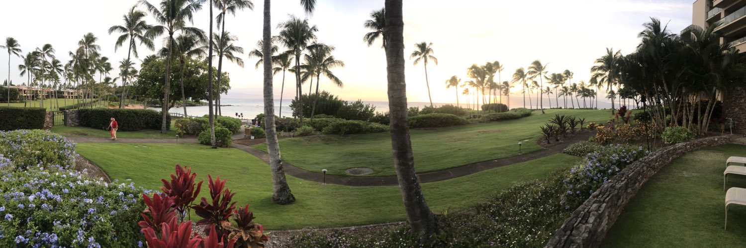 Meaghan Pearson banner