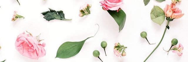 hannahbananee's profile banner image