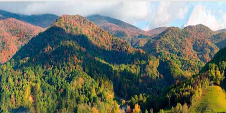 Mitchell County GSA banner