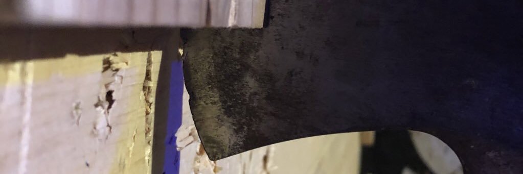 tomentosa_09's profile banner image