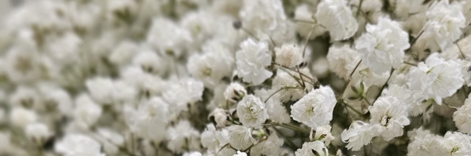 diancece's profile banner image