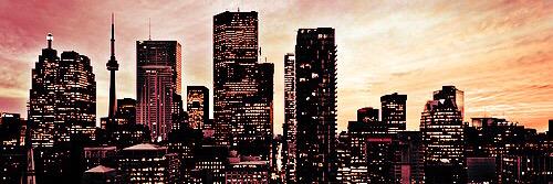 sandy_xuan's profile banner image