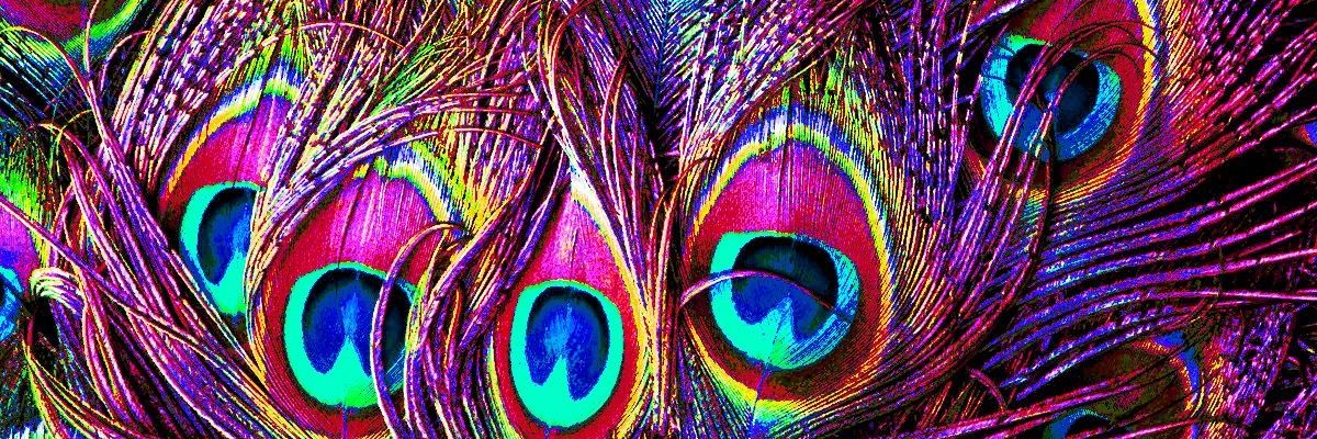 deejhess's profile banner image