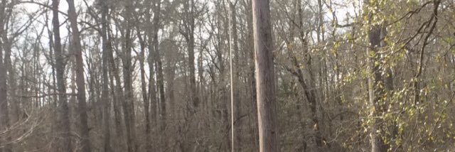 _TheTrueRC_'s profile banner image