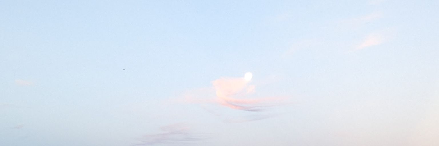 yswkoko's profile banner image