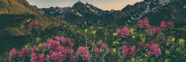 crmmllg's profile banner image